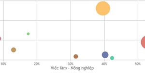 Code JavaScript tạo biểu đồ thu phóng với tính năng Zoom & Pan