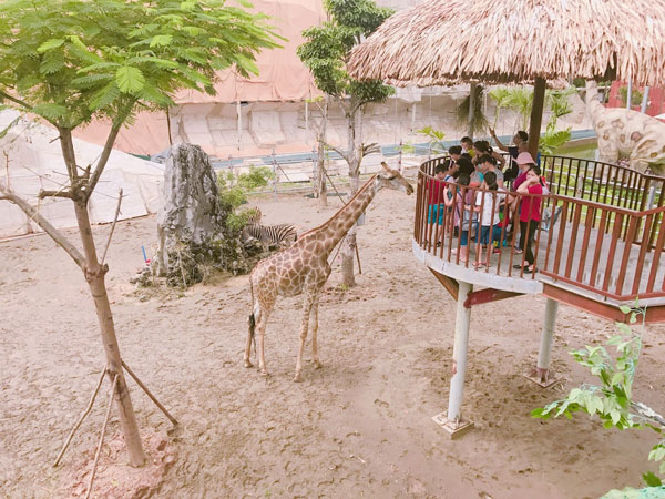 Tổ hợp Safari tại Thiên Đường Bảo Sơn