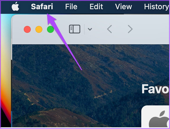 Safari on macOS