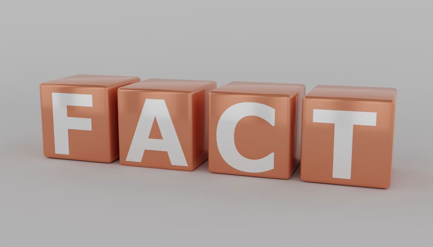 Tính thực tế của phản hồi