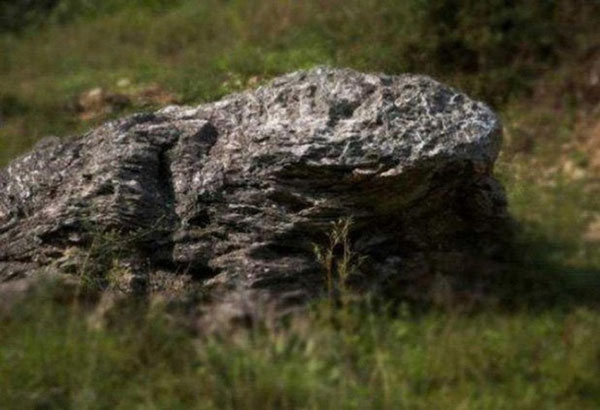 Hòn đá hình con cóc được coi là một vị thần, canh cho ngôi làng không có muỗi gần một thế kỷ nay. Ảnh: Tipsmake.