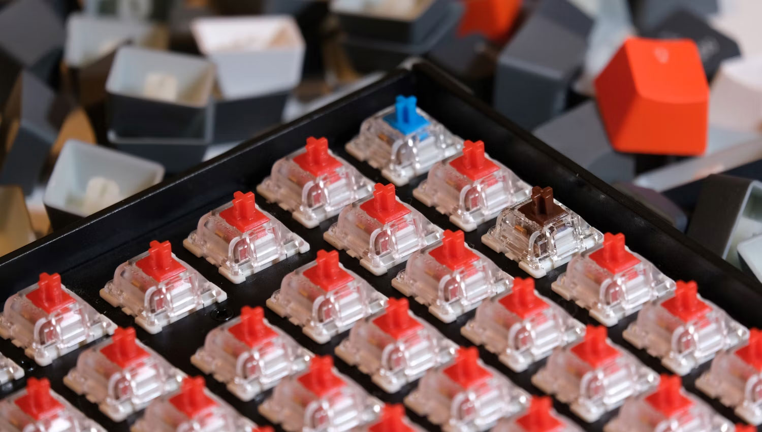 Các loại switch bàn phím khác nhau