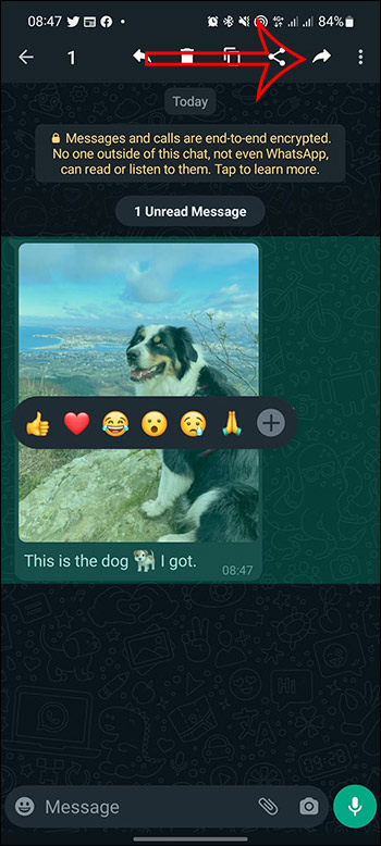 Chuyển tiếp ảnh trên WhatsApp
