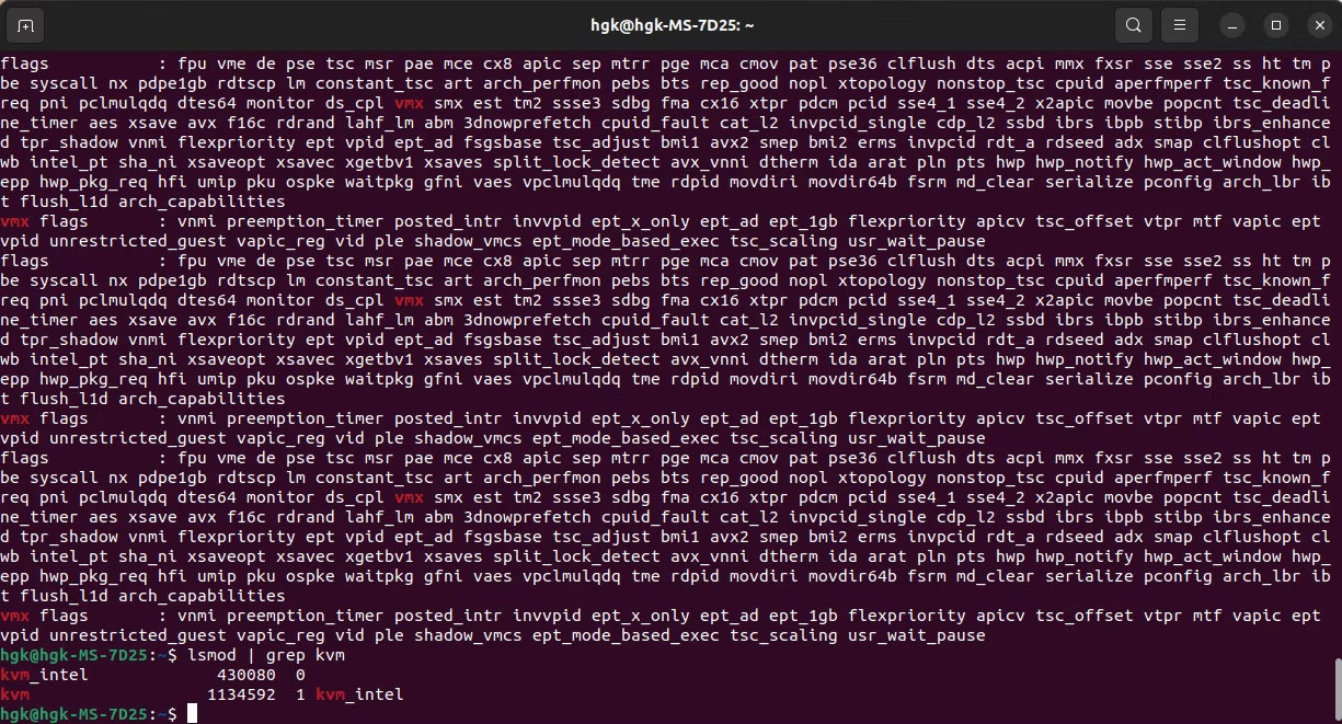 Kiểm tra các mô-đun KMV và ảo hóa CPU trong terminal
