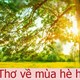Thơ về mùa hè hay, gợi nhiều ký ức