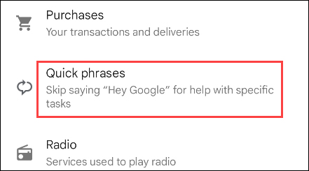 Quick Phrases Google Assistant