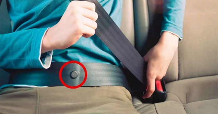 Nút nhựa tròn trên dây an toàn