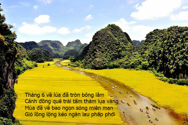 Tháng Sáu nhớ thương