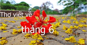 Thơ viết về tháng 6 hay