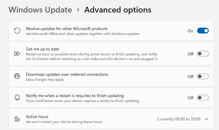 Advanced Option trong Windows Update