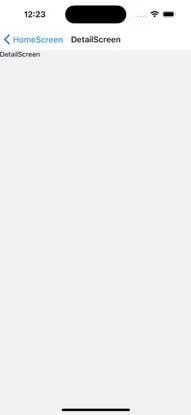 Màn hình điều hướng 2