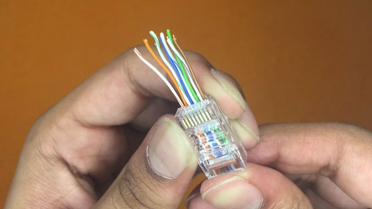 Đưa các dây được sắp xếp thẳng xuyên qua đầu nối