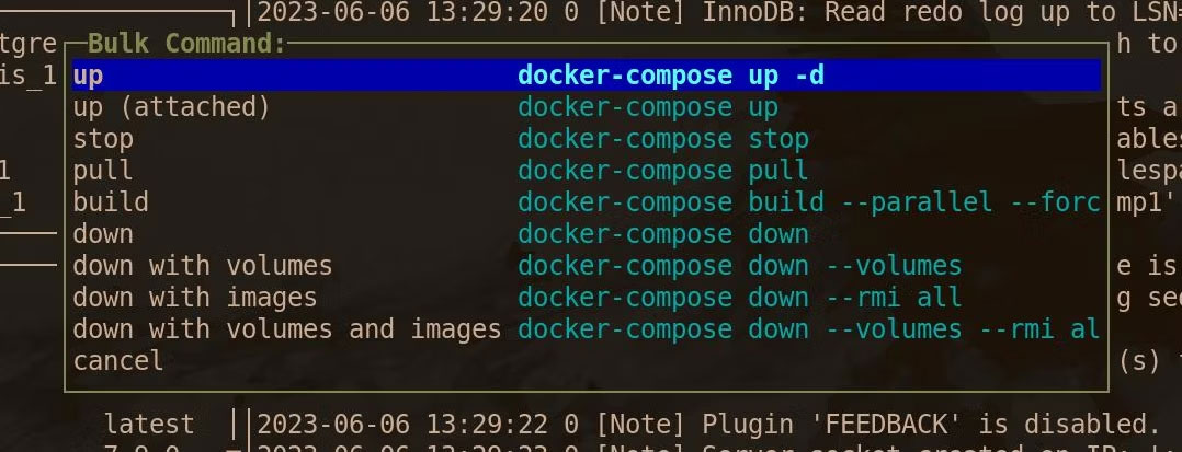 Menu Bulk Commands lazydocker