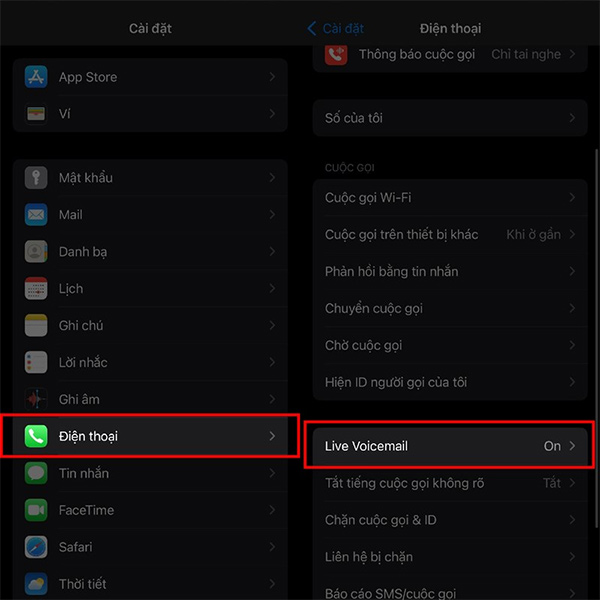 Chỉnh Điện thoại trên iPhone 