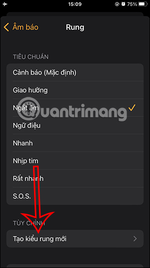 Tạo kiểu rung mới trên iPhone