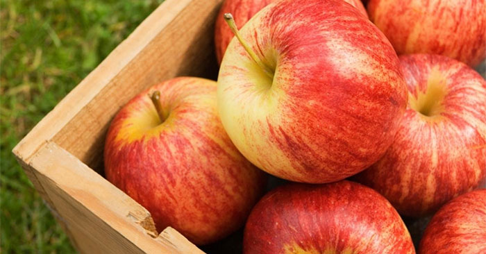 Táo nhập khẩu