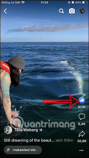 Video Reels Facebook