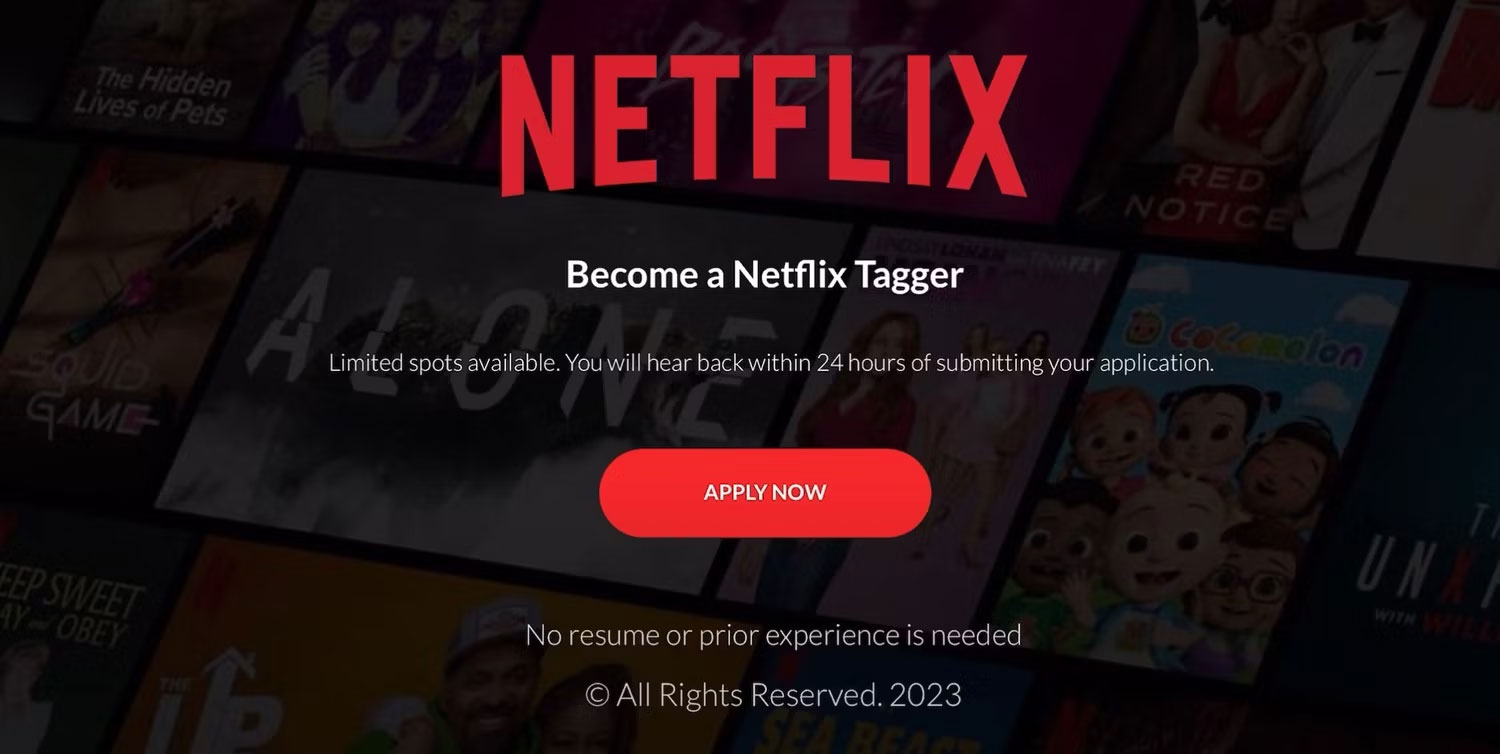 Công việc giả trên trang web lừa đảo NetflixTagging.com