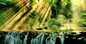 Cách tạo hiệu ứng Orton trong Photoshop