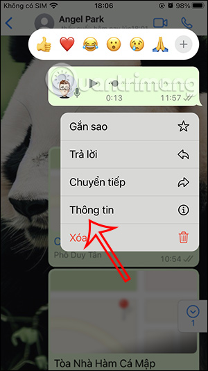 Thông tin tin nhắn âm thanh trên WhatsApp