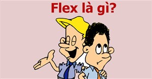 Flex là gì? Hầu hết mọi người đều từng Flex mà không hay biết đấy!