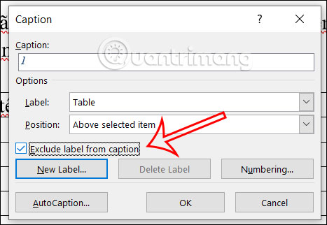 Chỉnh nhãn caption cho bảng Word