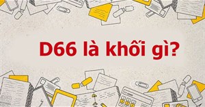 D66 là khối gì? D66 gồm những môn nào, ngành nào, trường nào?