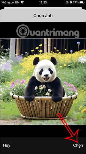 Chỉnh avatar tài khoản