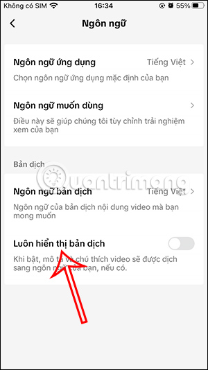 Bản dịch cho video TikTok