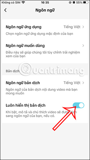 Luôn bật bản dịch TikTok