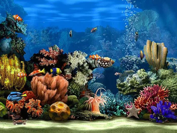 Living Marine Aquarium