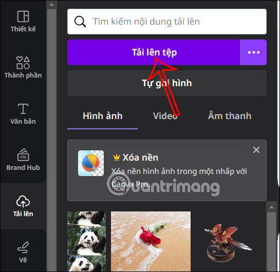 Upload photos to Canva 
