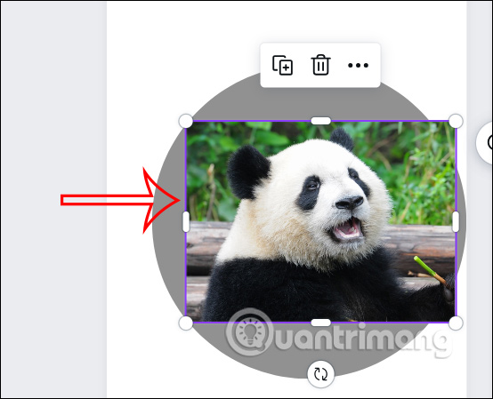 Crop a photo into a circle on Canva 