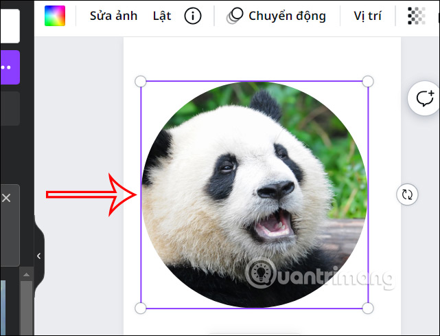 Retouch the circular cutout on Canva 