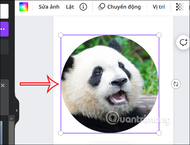 Chỉnh lại ảnh cắt hình tròn trên Canva 