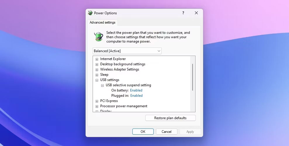 USB selective suspend setting trong cửa sổ Power Option