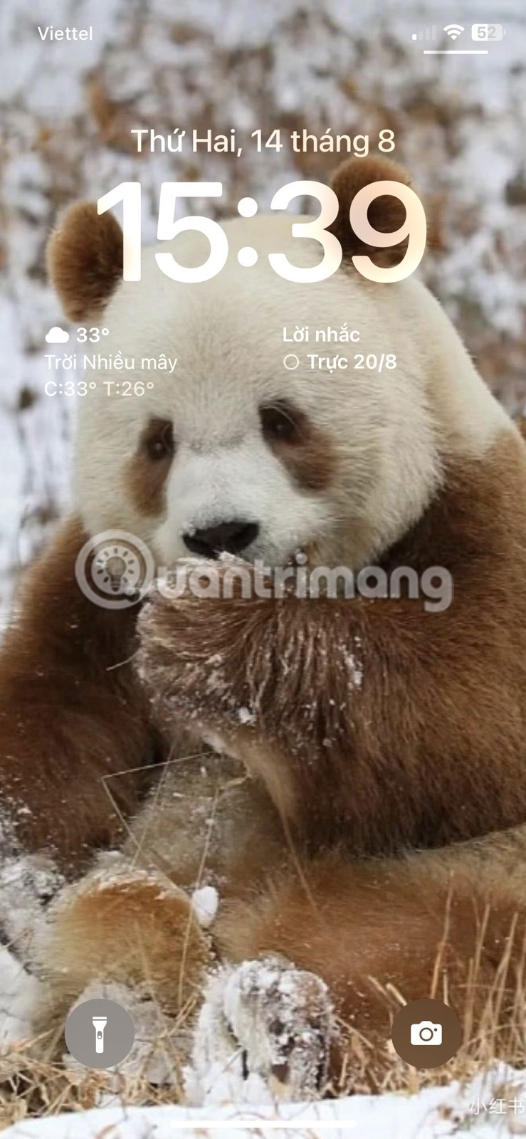 Đánh thức thiết bị