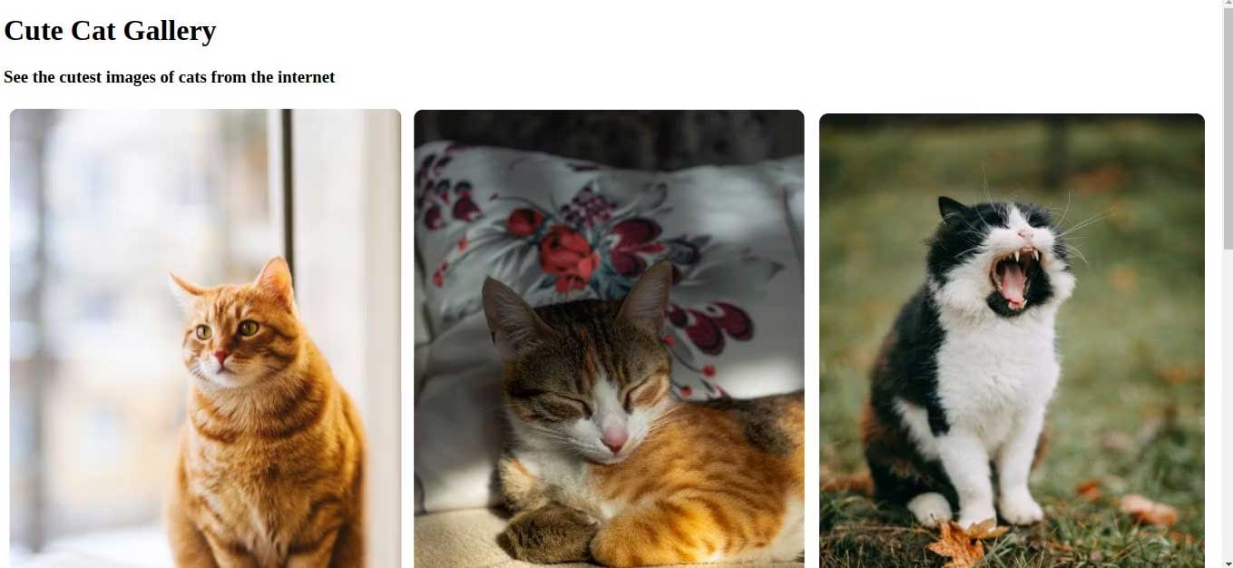 Tạo kiểu app Svelte