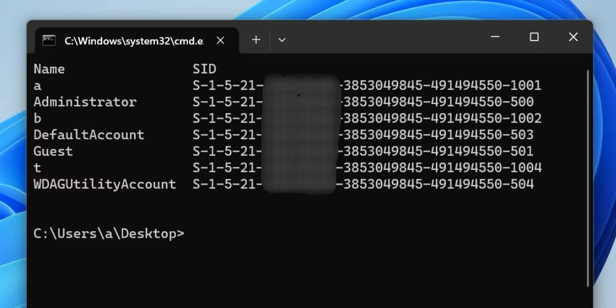 Kiểm tra SID bằng file batch