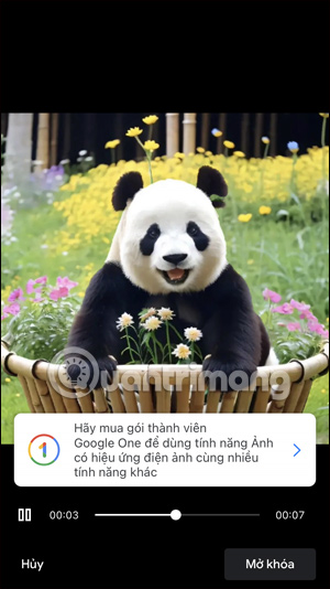 Ảnh hiệu ứng Google PhotoGoogle Photos