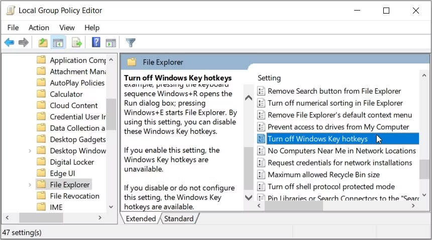 Nhấp vào tùy chọn Turn off Windows Key Hotkeys trong LGPE