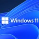 Thông kê thị phần Windows toàn cầu: Tốc độ tăng trưởng của Windows 11 bất ngờ chậm lại