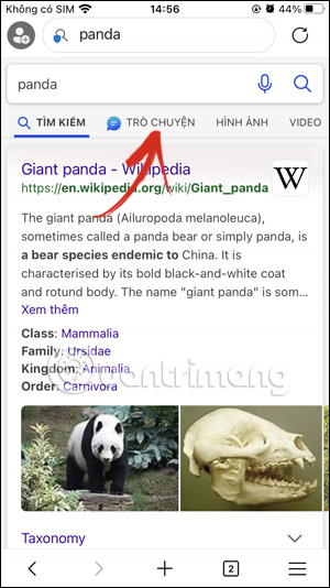 Bing AI Chat