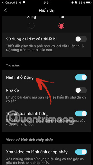 Hình nhỏ động video trên TikTok