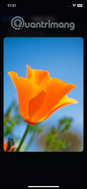 Kiểm tra phản hồi xúc giác trên iPhone 