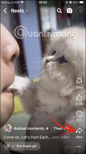 Chia sẻ video Facebook Reels