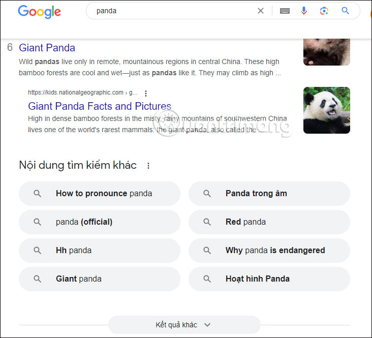 Tìm kiếm trên Google Search