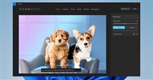 Cách làm mờ nền hình ảnh trong ứng dụng Photos Windows 11