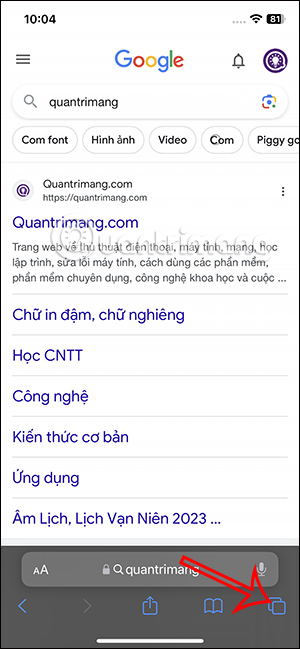 Giao diện Safari