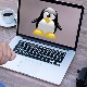 Cách tạo và xóa thư mục trong Linux Terminal
